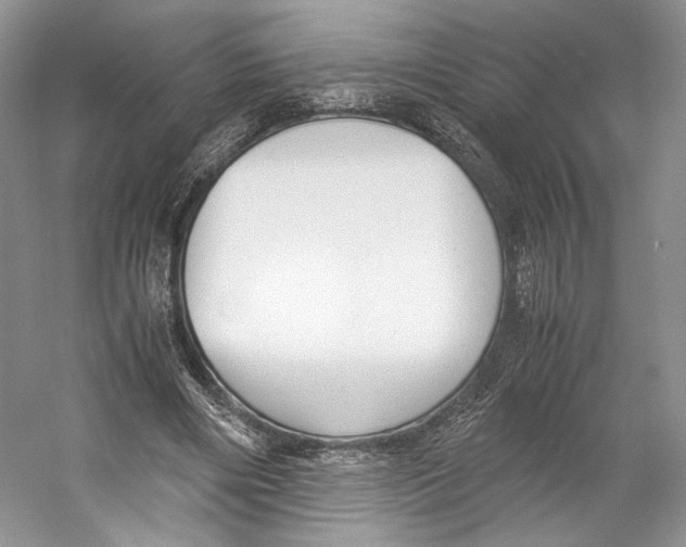 X0000053110490200508081229