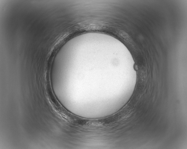 X0000053110491200508081229