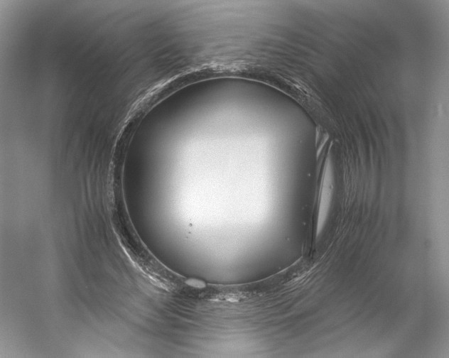 X0000053110492200508081229