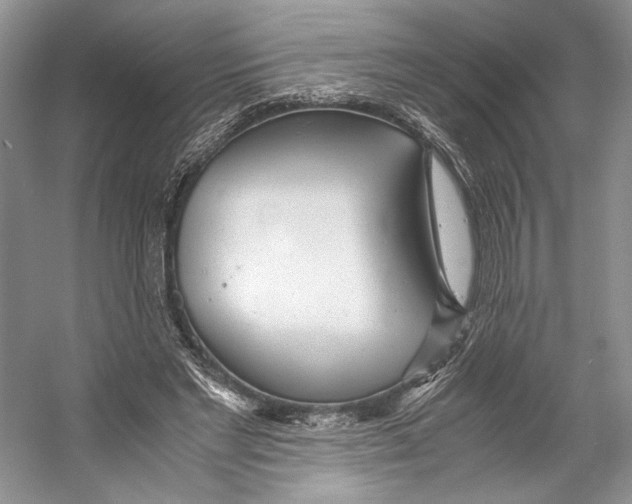 X0000053110493200508081229