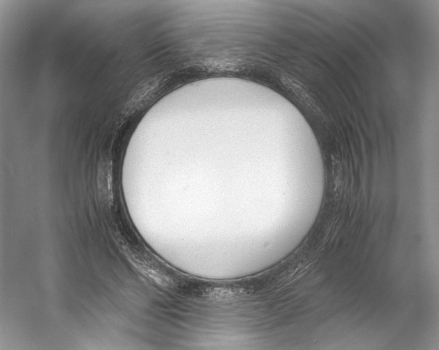 X0000053110494200508081229