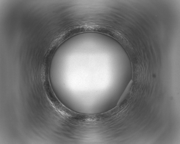 X0000053110496200508081229