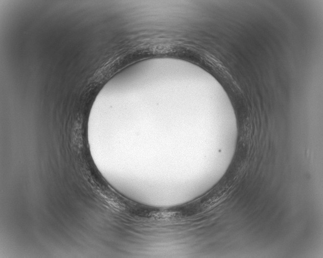 X0000053110497200508081229