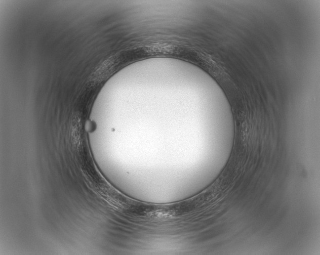 X0000053110498200508081229