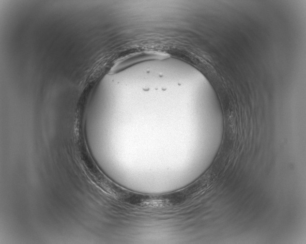 X0000053110499200508081229