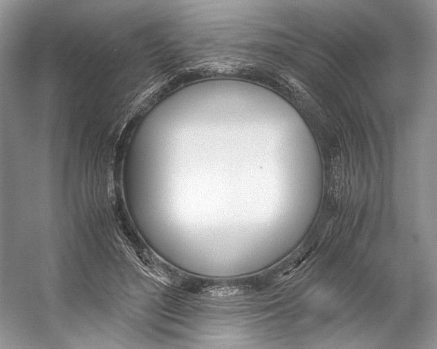 X0000053110500200508081229