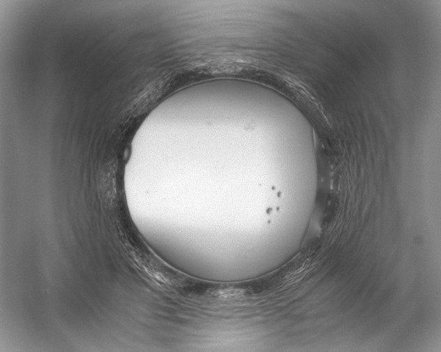 X0000053110501200508081229