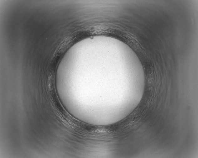 X0000053110503200508081229