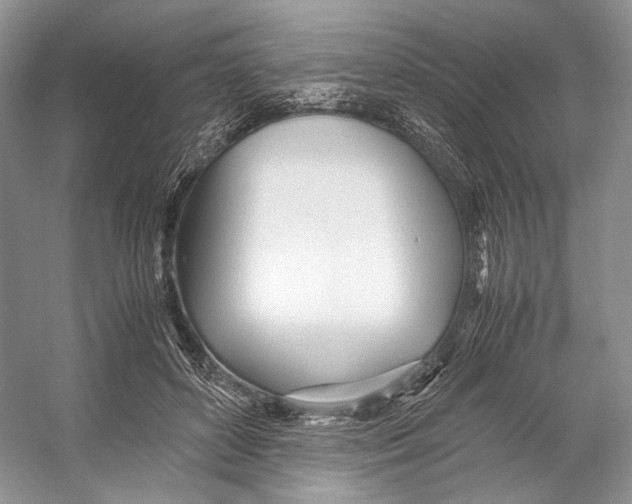 X0000053110504200508081229