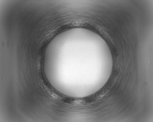 X0000053110505200508081229