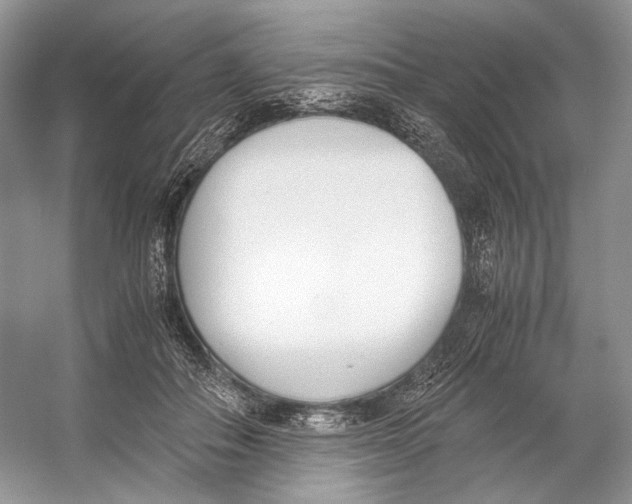 X0000053110506200508081229