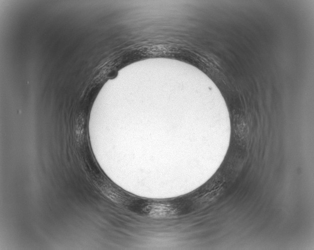 X0000053110507200508081229