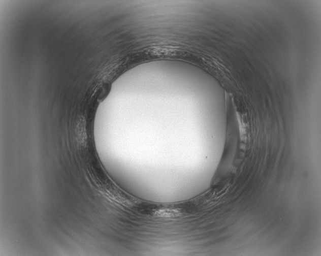 X0000053110508200508081229