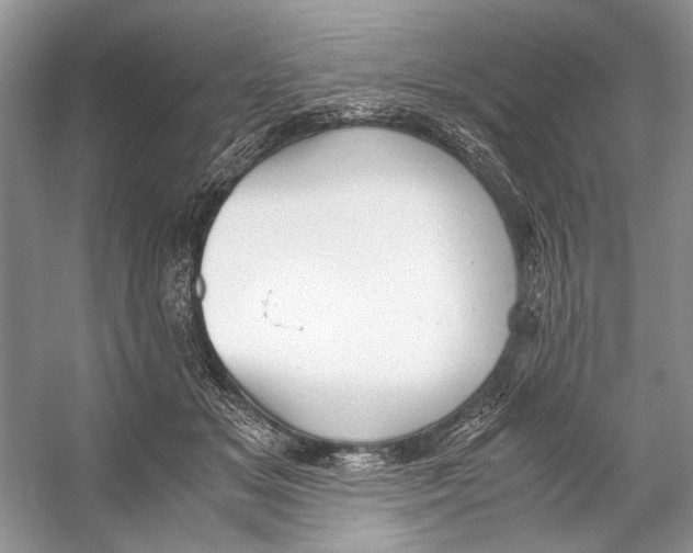 X0000053110509200508081229