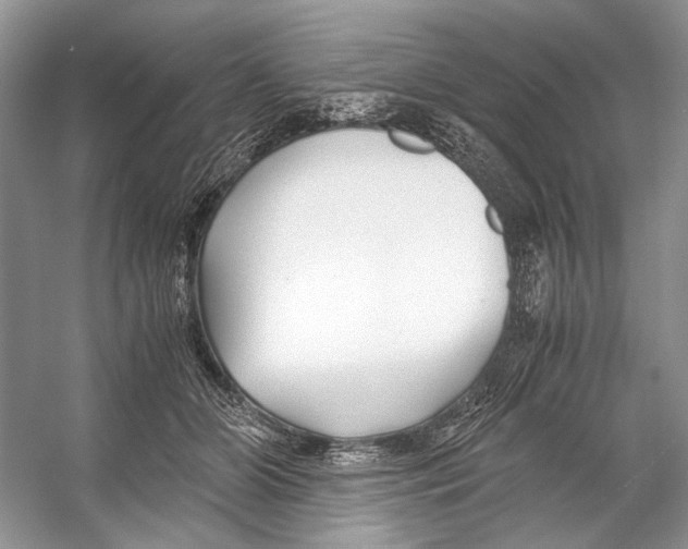 X0000053110510200508081229