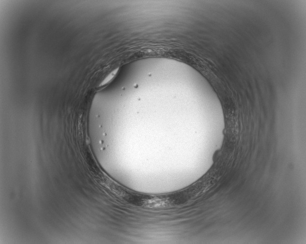 X0000053110511200508081229