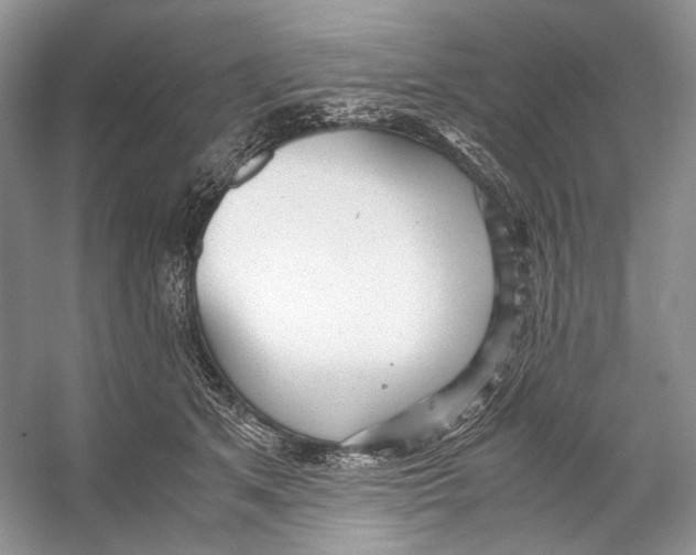 X0000053110513200508081229