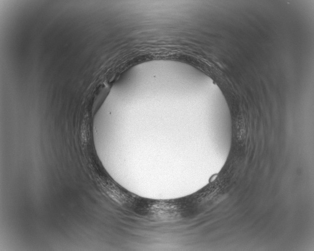 X0000053110515200508081229