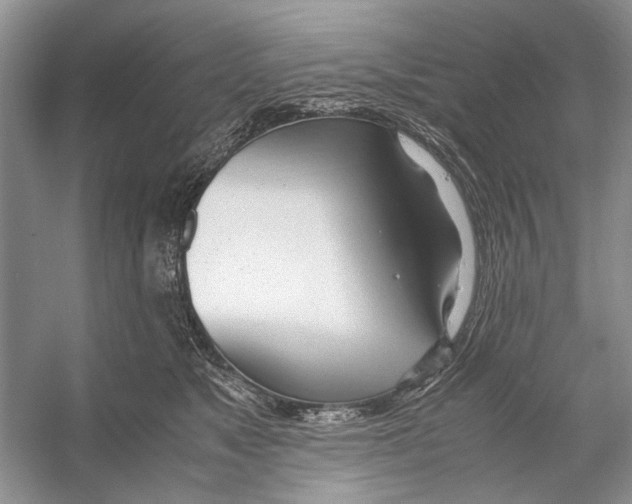 X0000053110517200508081229