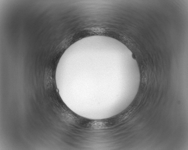 X0000053110518200508081229