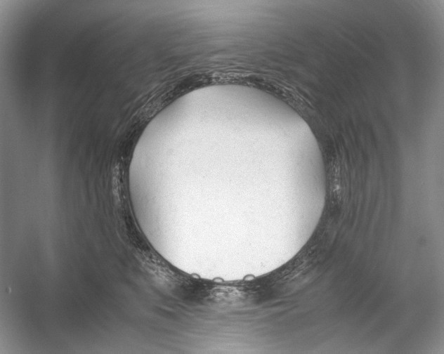 X0000053110519200508081229