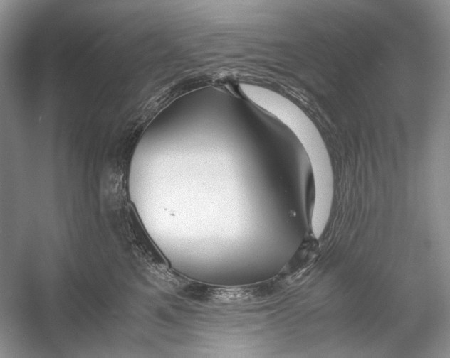 X0000053110521200508081229