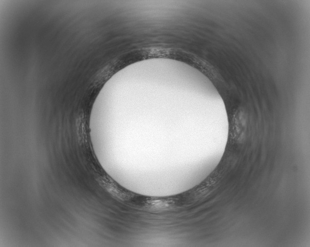 X0000053110522200508081229