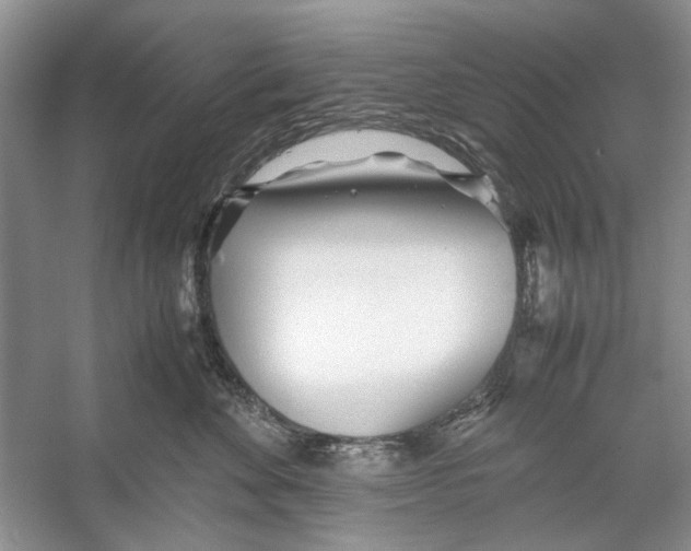 X0000053110524200508081229