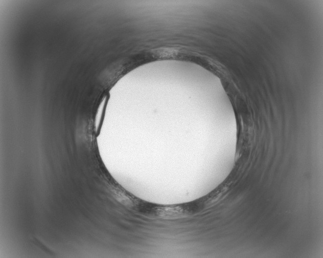 X0000053110525200508081229