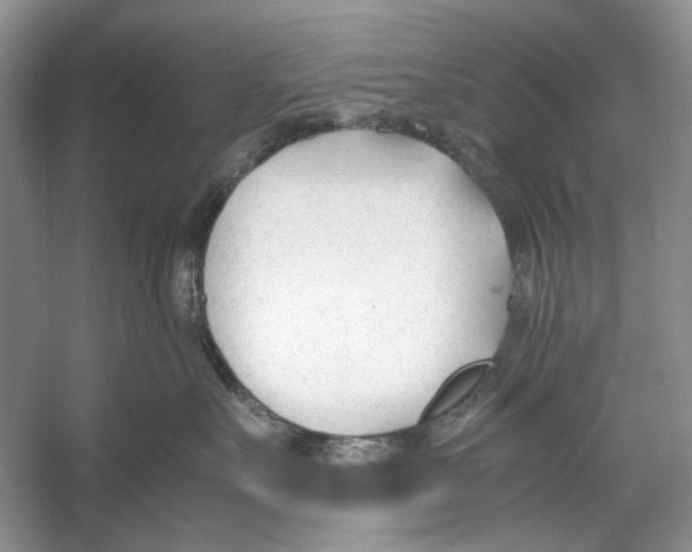 X0000053110527200508081228