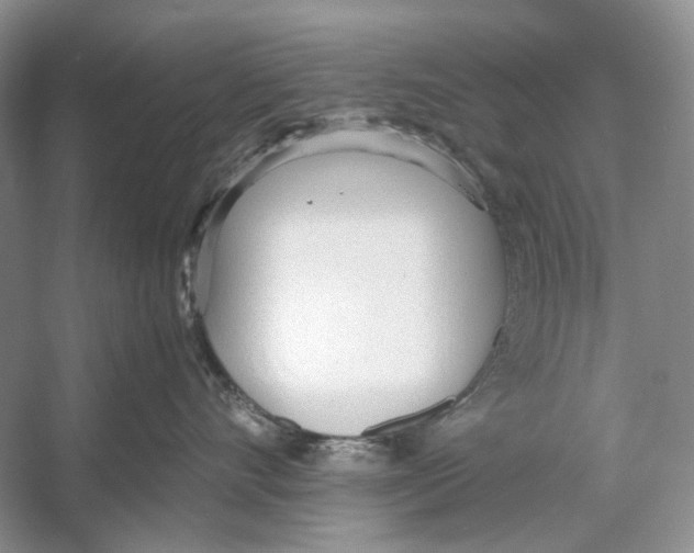 X0000053110528200508081228