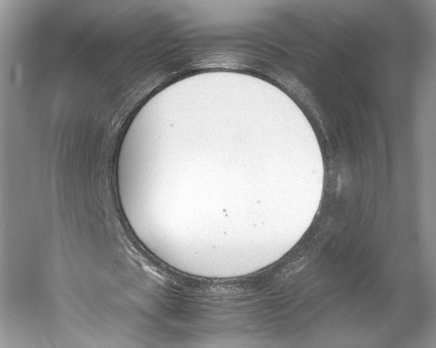 X0000053110529200508081228