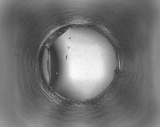 X0000053110531200508081228