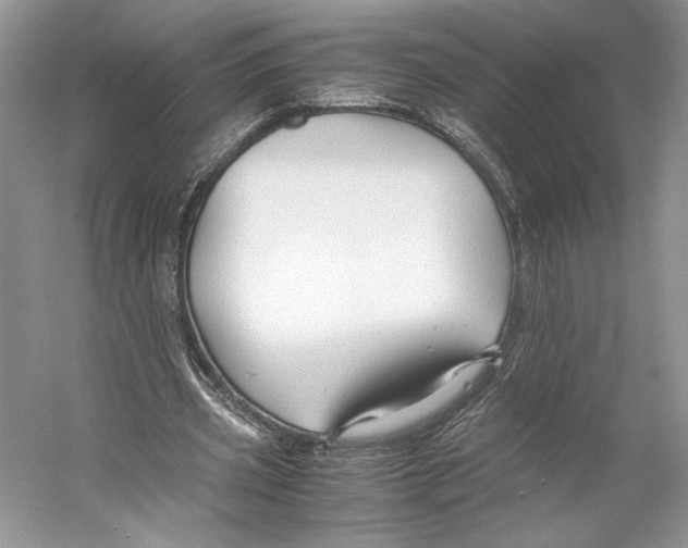 X0000053110533200508081228