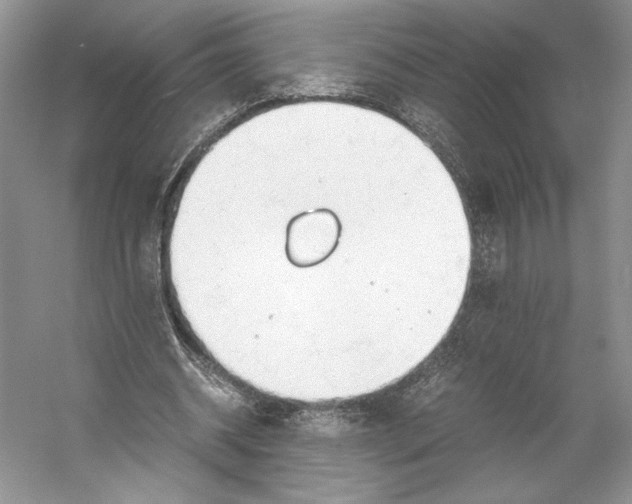 X0000053110534200508081228