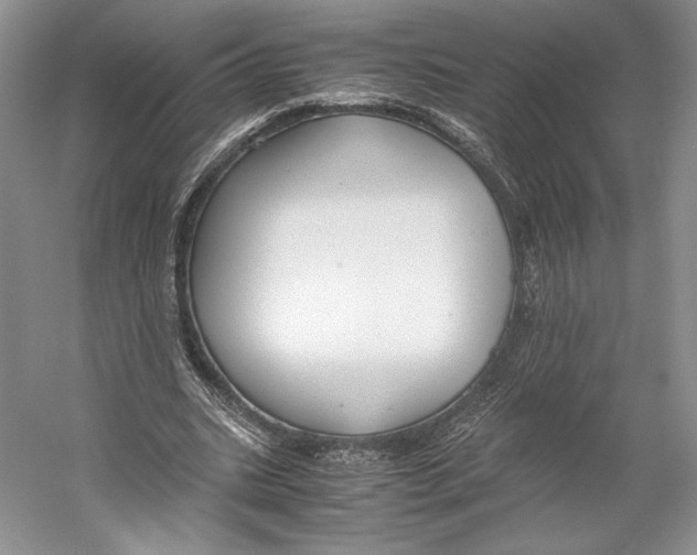 X0000053110535200508081228