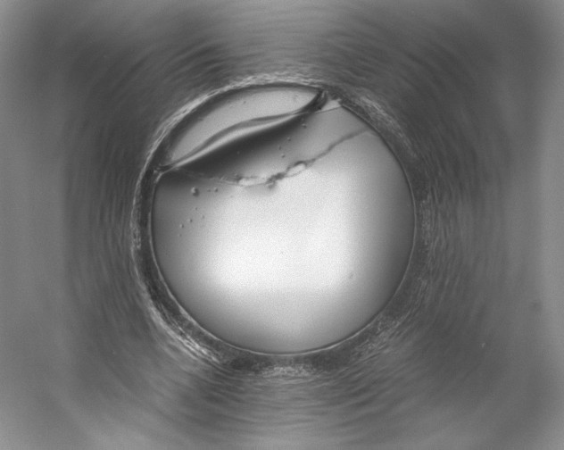 X0000053110536200508081228