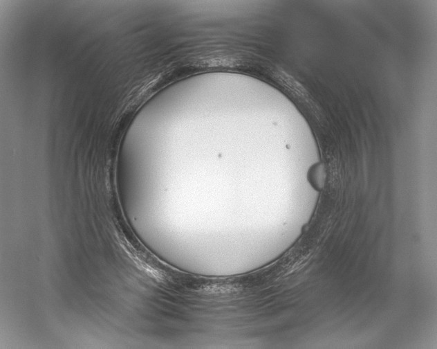 X0000053110537200508081228