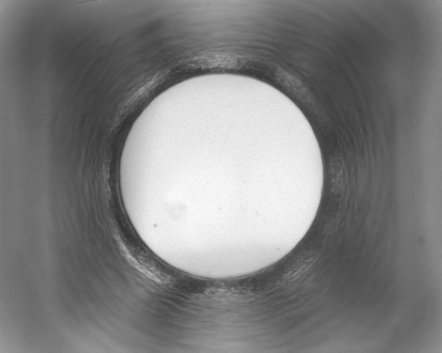 X0000053110538200508081228