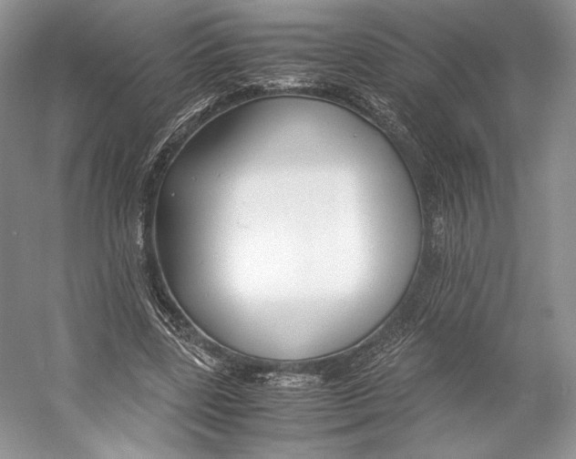 X0000053110539200508081228