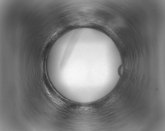 X0000053110542200508081228