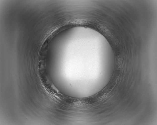 X0000053110544200508081228