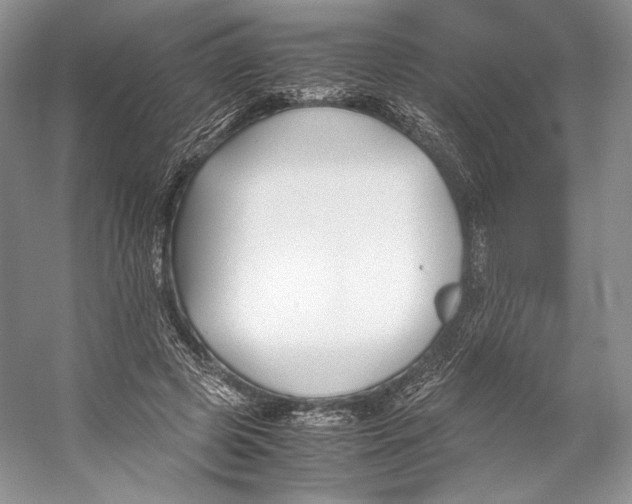 X0000053110545200508081228