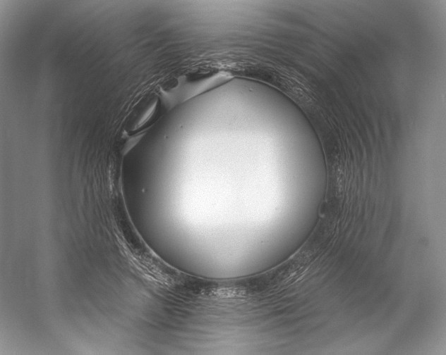 X0000053110546200508081228