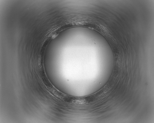 X0000053110548200508081228