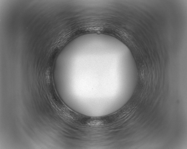 X0000053110551200508081228