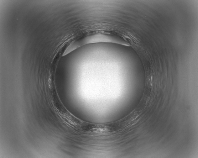 X0000053110552200508081228