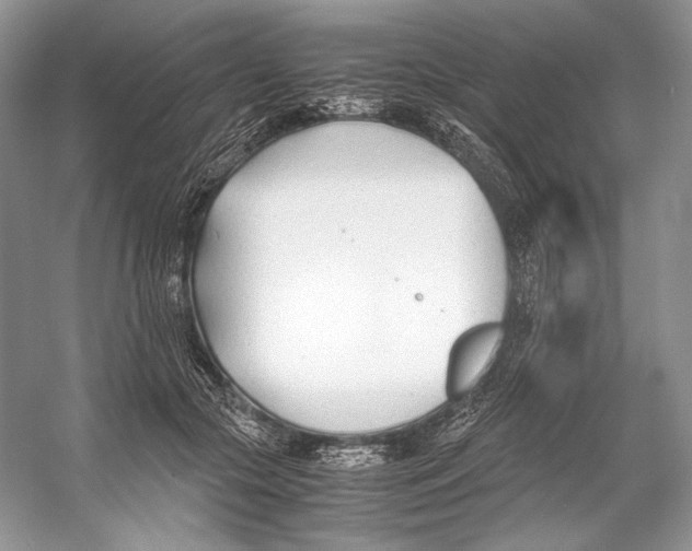 X0000053110553200508081228