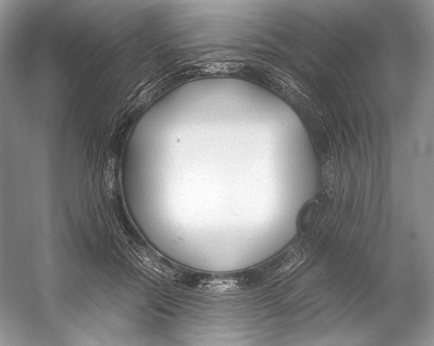 X0000053110554200508081228