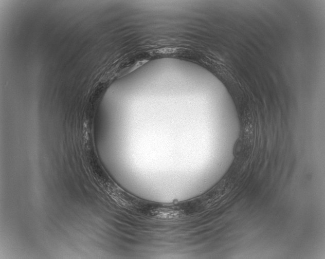 X0000053110555200508081228